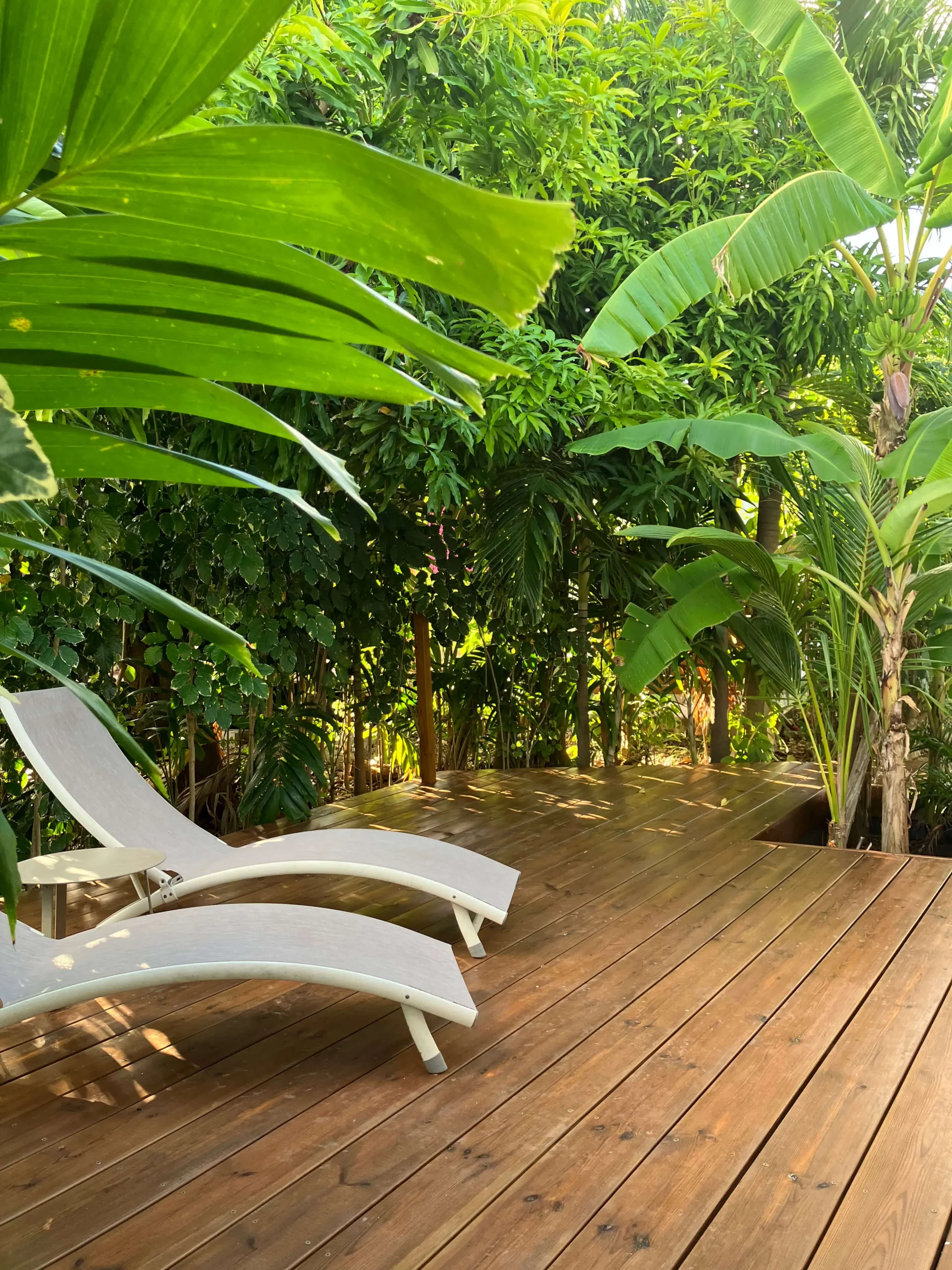 terrasse bois Guadeloupe